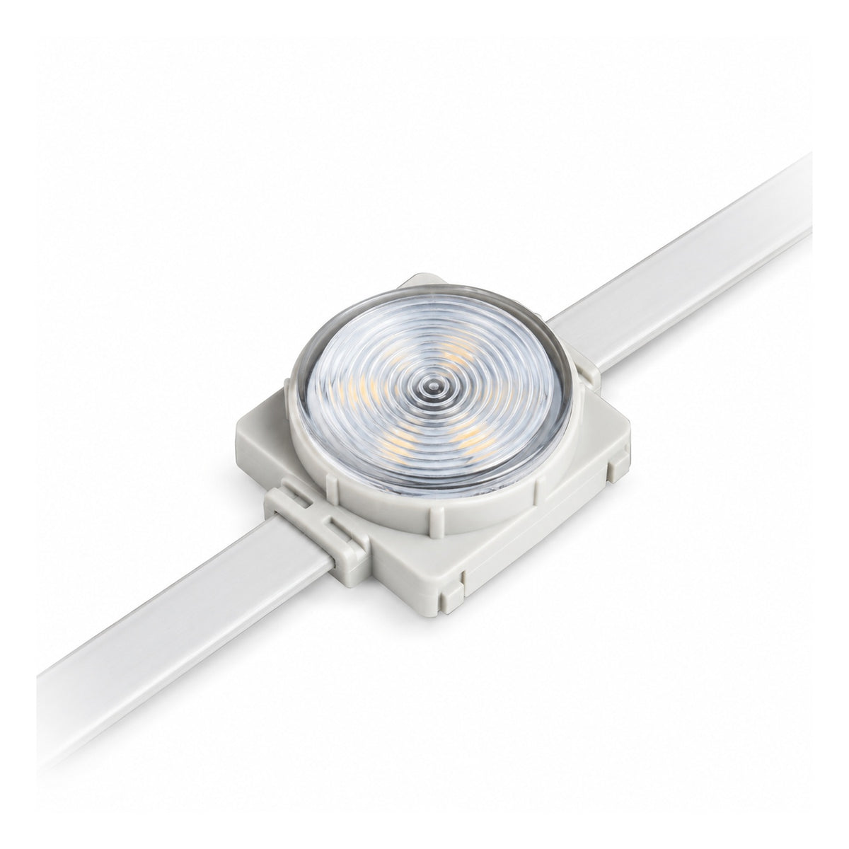 P0050 Point Source | 1.5W IP68 | BTR Better Lightings
